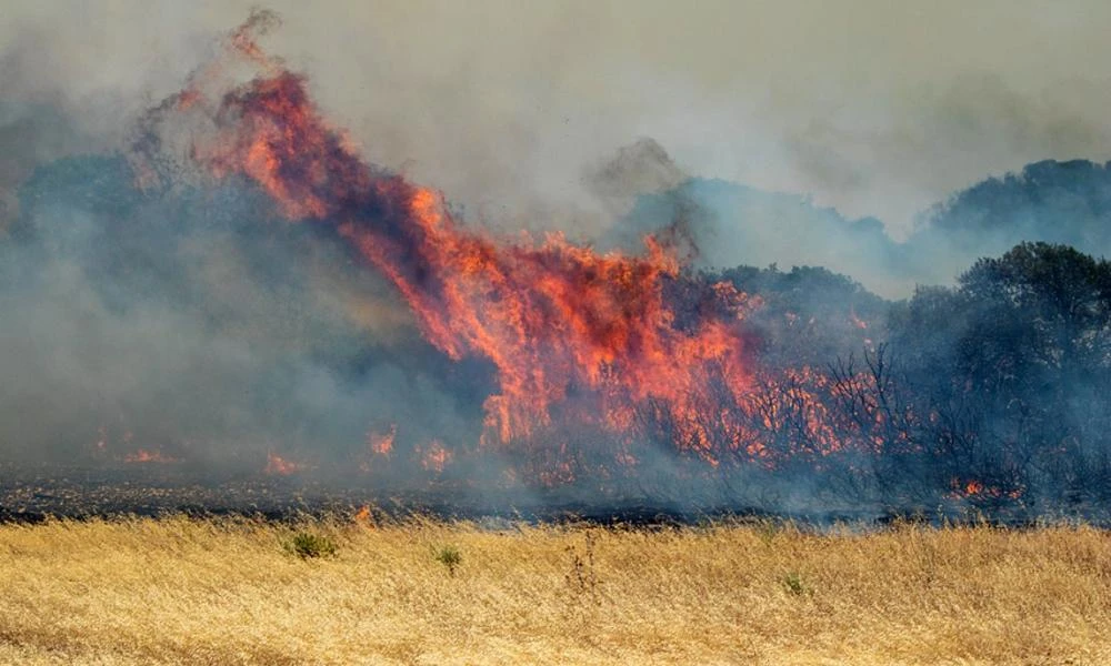 Ροδόπη: Πυρκαγιά μαίνεται αυτή την ώρα - Άμεση κινητοποίηση της Πυροσβεστικής